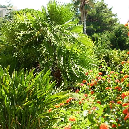 אז'אקסיו Hotel La Pinede מראה חיצוני תמונה