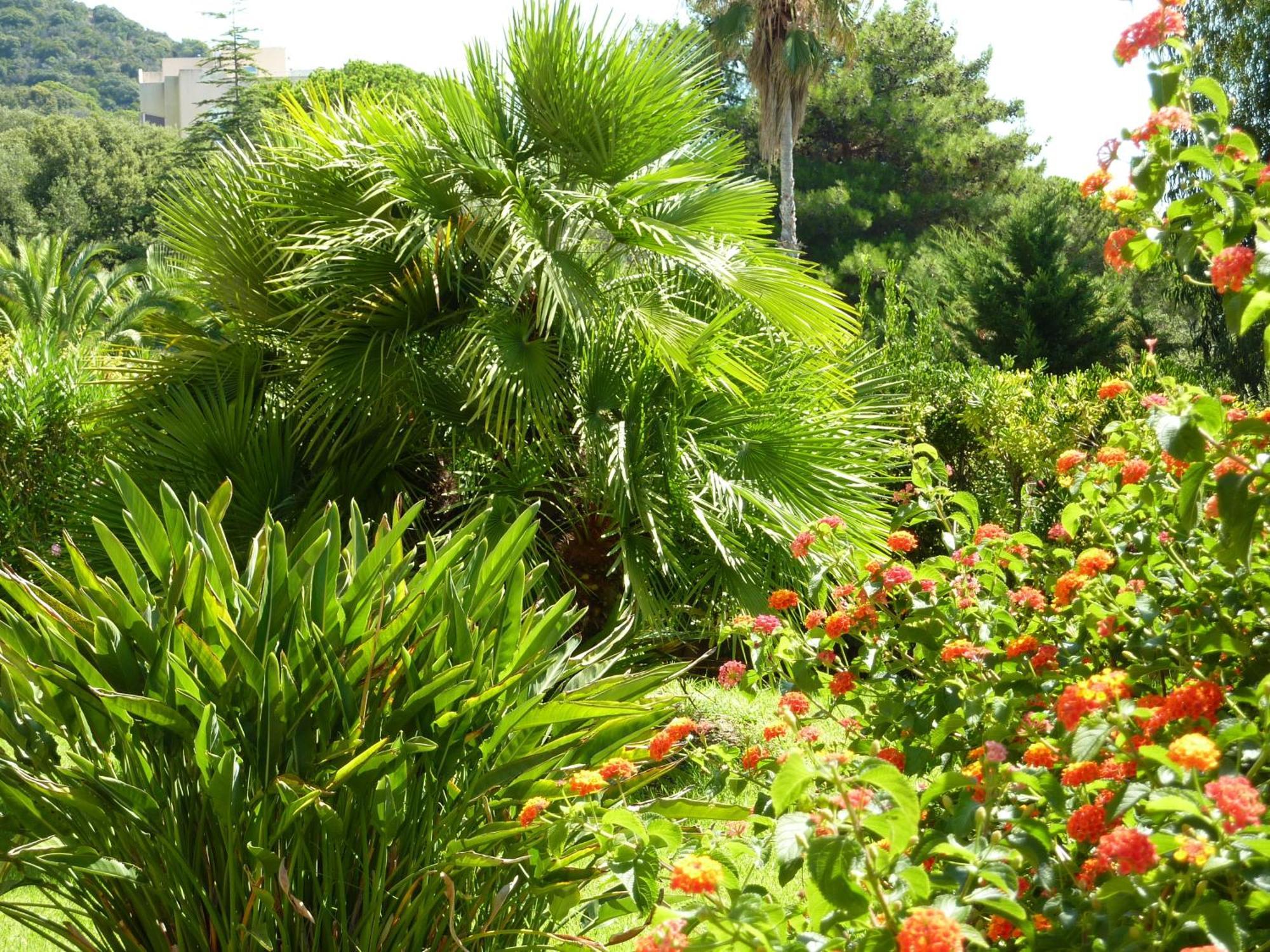 אז'אקסיו Hotel La Pinede מראה חיצוני תמונה